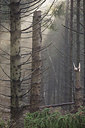 BUITEN BEELD Foto: 216181