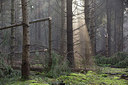 BUITEN BEELD Foto: 216182