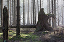 BUITEN BEELD Foto: 216184