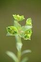 BUITEN BEELD Foto: 216265