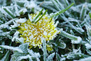 BUITEN BEELD Foto: 216328