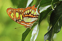 BUITEN BEELD Foto: 216353