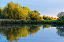 BUITEN BEELD Foto: 216364