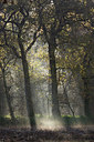 BUITEN BEELD Foto: 216406