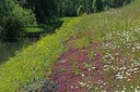 BUITEN BEELD Foto: 216416