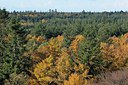 BUITEN BEELD Foto: 216420