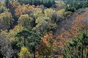 BUITEN BEELD Foto: 216431