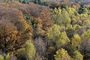 BUITEN BEELD Foto: 216434