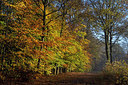 BUITEN BEELD Foto: 216514