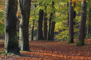 BUITEN BEELD Foto: 216516