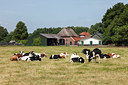 BUITEN BEELD Foto: 216540