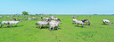 BUITEN BEELD Foto: 216558