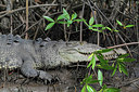 BUITEN BEELD Foto: 216635