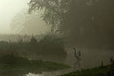 BUITEN BEELD Foto: 216639