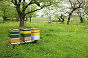 BUITEN BEELD Foto: 216688