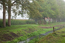 BUITEN BEELD Foto: 216692