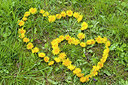 BUITEN BEELD Foto: 216719