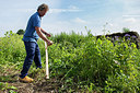 BUITEN BEELD Foto: 216730