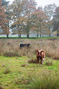 BUITEN BEELD Foto: 216793