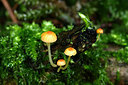 BUITEN BEELD Foto: 216826