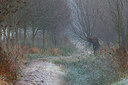 BUITEN BEELD Foto: 216836
