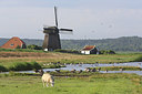 BUITEN BEELD Foto: 216859