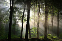 BUITEN BEELD Foto: 216867