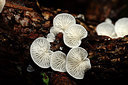 BUITEN BEELD Foto: 216903