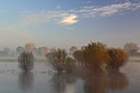 BUITEN BEELD Foto: 216918