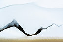 BUITEN BEELD Foto: 216958