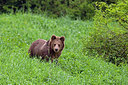 BUITEN BEELD Foto: 217129