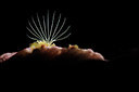BUITEN BEELD Foto: 217172