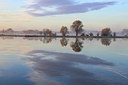 BUITEN BEELD Foto: 217264