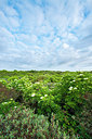 BUITEN BEELD Foto: 217297