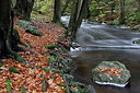BUITEN BEELD Foto: 217443