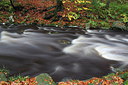 BUITEN BEELD Foto: 217445