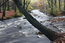 BUITEN BEELD Foto: 217446