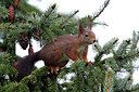 BUITEN BEELD Foto: 217447