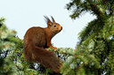BUITEN BEELD Foto: 217448
