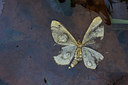 BUITEN BEELD Foto: 217464
