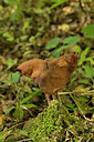 BUITEN BEELD Foto: 217477