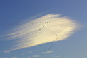 BUITEN BEELD Foto: 217493