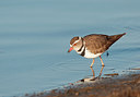 BUITEN BEELD Foto: 217624