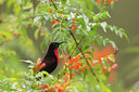 BUITEN BEELD Foto: 217643