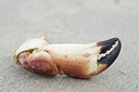 BUITEN BEELD Foto: 217755