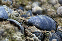 BUITEN BEELD Foto: 217763
