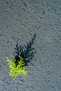 BUITEN BEELD Foto: 218094