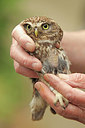 BUITEN BEELD Foto: 218159