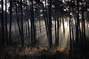 BUITEN BEELD Foto: 218176