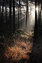 BUITEN BEELD Foto: 218177